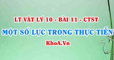 Công thức và Đặc điểm của trọng lực, lực ma sát, lực căng dây, lực đẩy Archimedes là gì? - Vật lí 10 bài 11